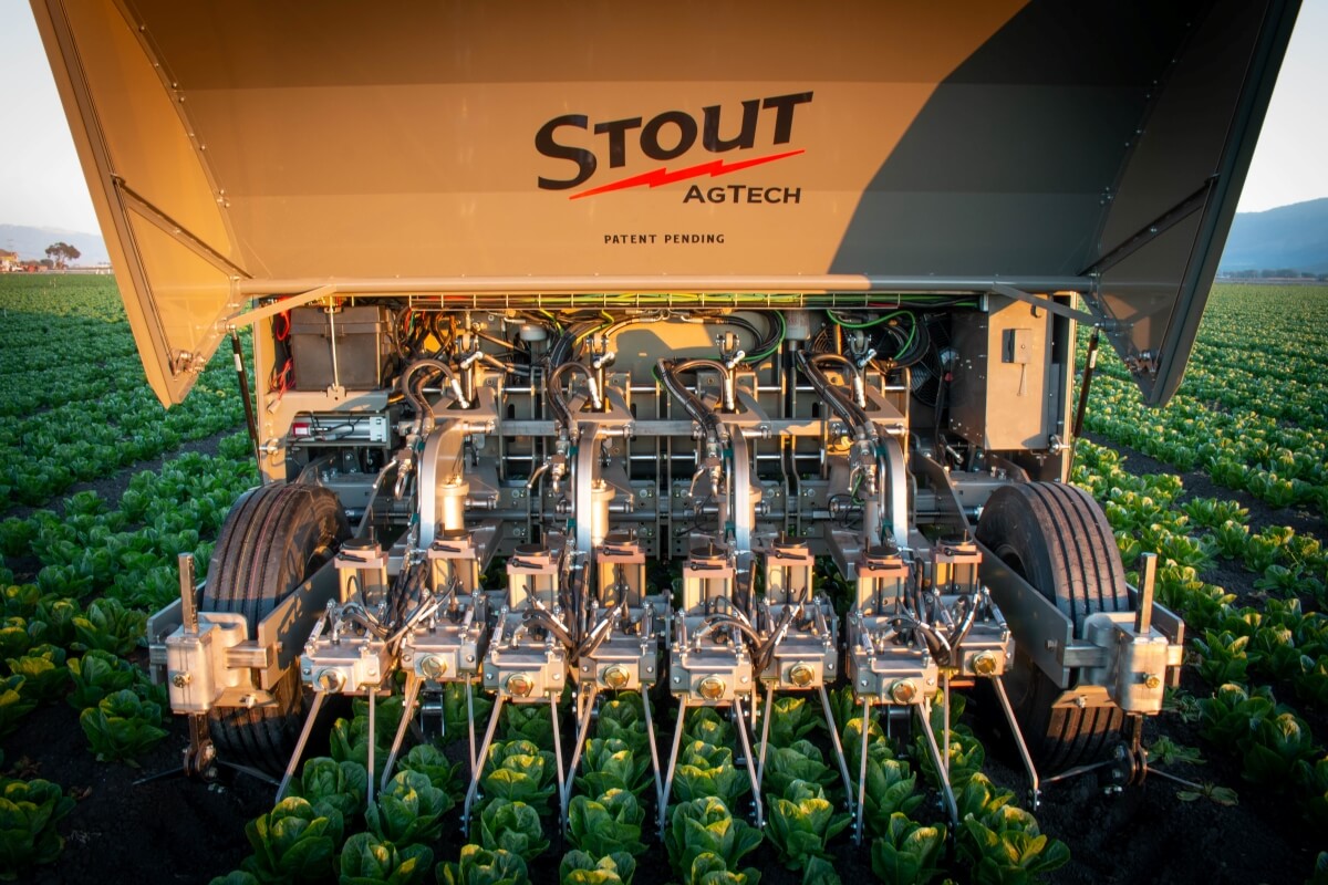 Smart Cultivator della Stout Industrial Technology per il diserbo automatizzato e intelligente delle infestanti su colture orticole